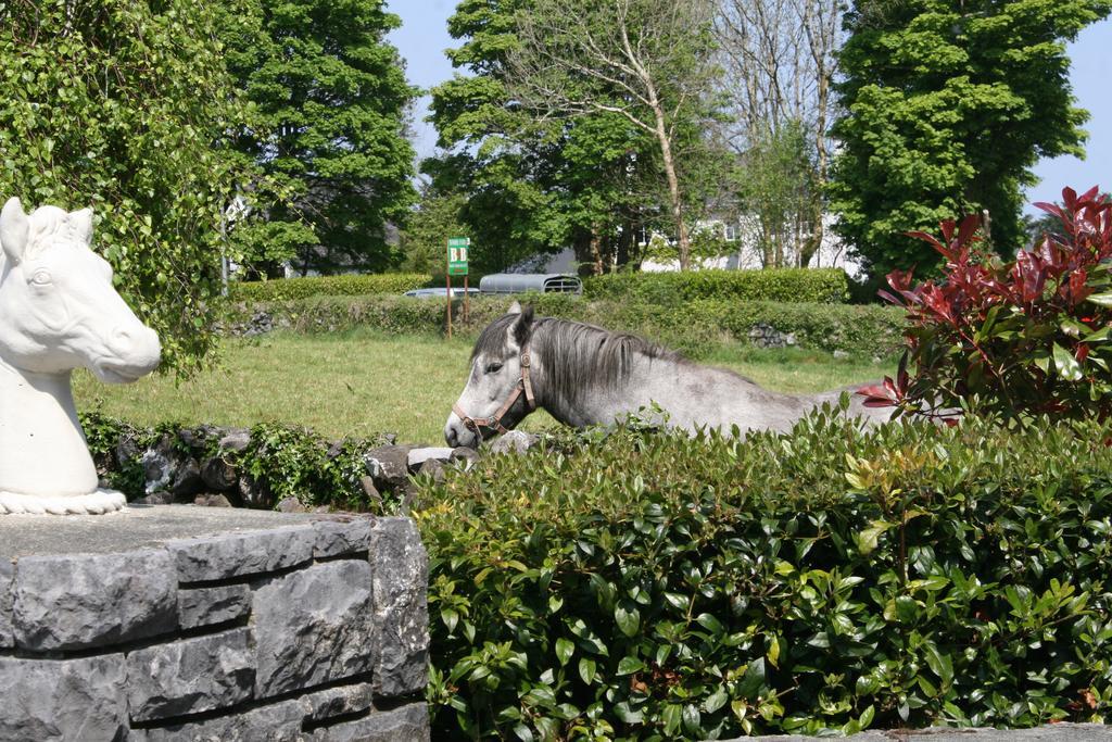 Carrowntober House B & B Oughterard Exteriér fotografie