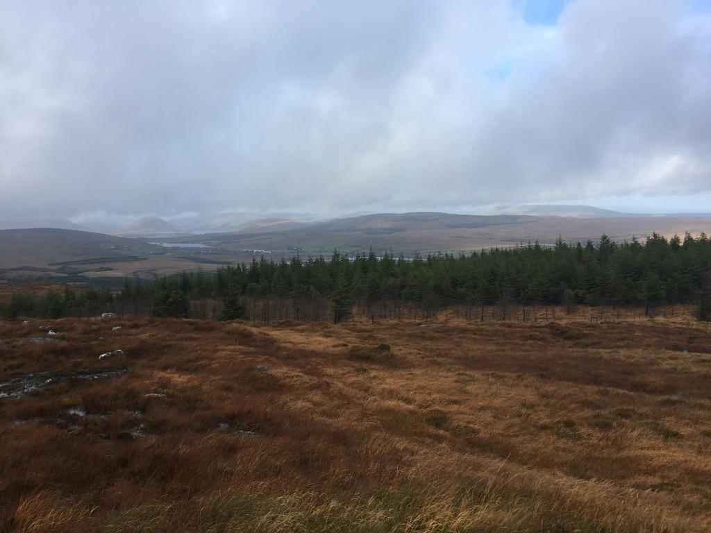 Carrowntober House B & B Oughterard Exteriér fotografie